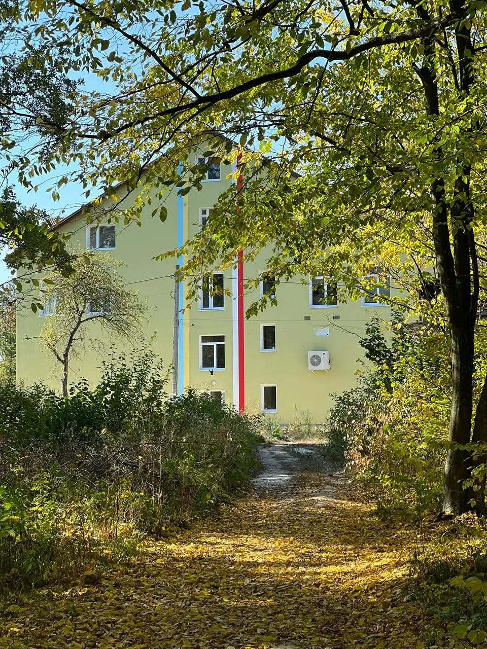 Zdjęcie