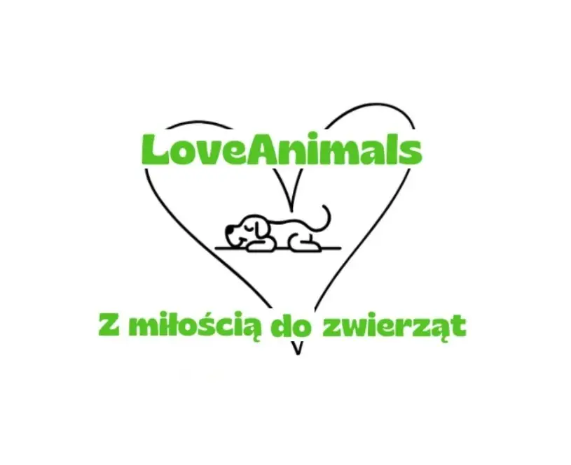 Indywidualne podejście do szkolenia psów