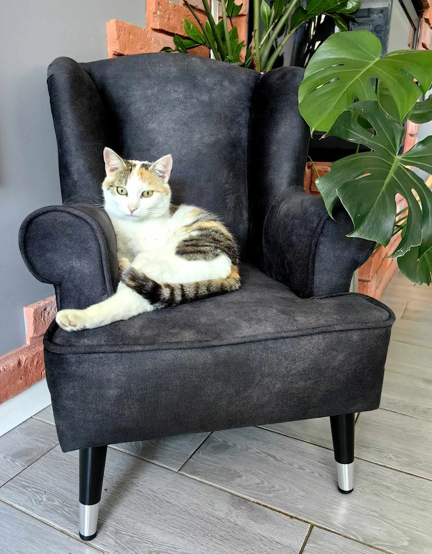 Skontaktuj się z nami