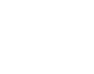 Logo TradingExpansion