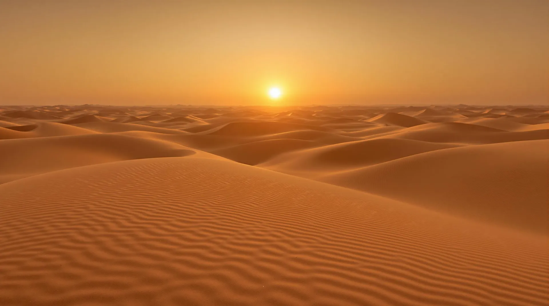 MUGH - Transport: Transport, Który Przekracza Oczekiwania